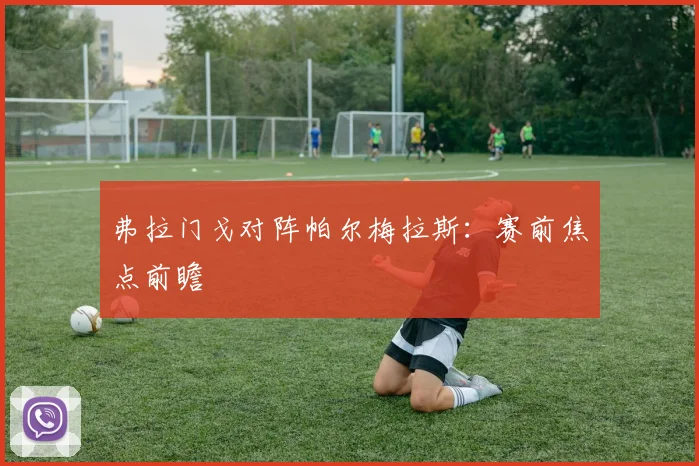 弗拉门戈对阵帕尔梅拉斯：赛前焦点前瞻