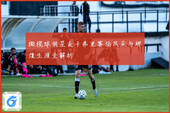 橄榄球明星麦卡弗里赛场风采与辉煌生涯全解析