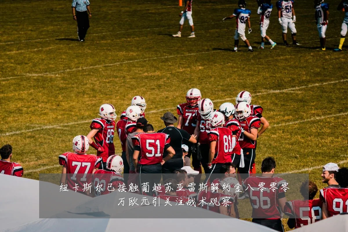 纽卡斯尔已接触葡超苏亚雷斯解约金八零零零万欧元引关注战术观察