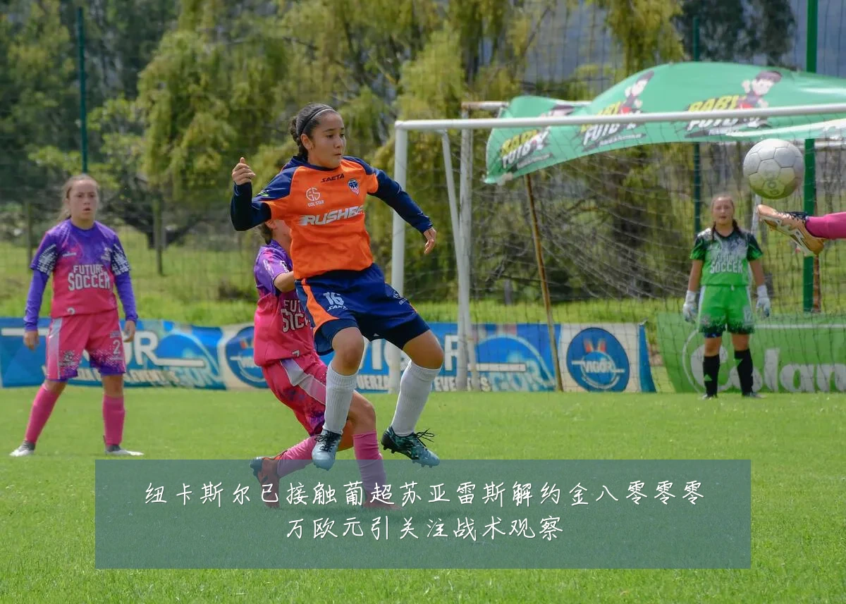 纽卡斯尔已接触葡超苏亚雷斯解约金八零零零万欧元引关注战术观察