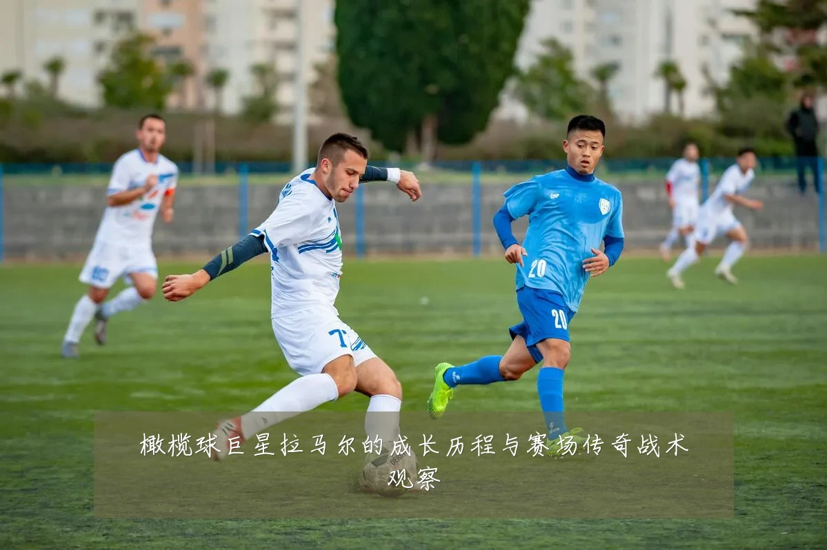 橄榄球巨星拉马尔的成长历程与赛场传奇战术观察