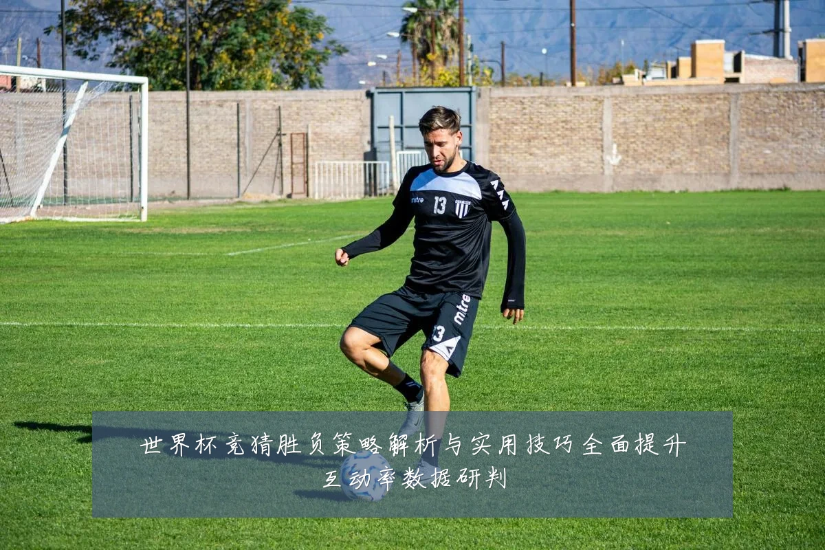 世界杯竞猜胜负策略解析与实用技巧全面提升互动率数据研判